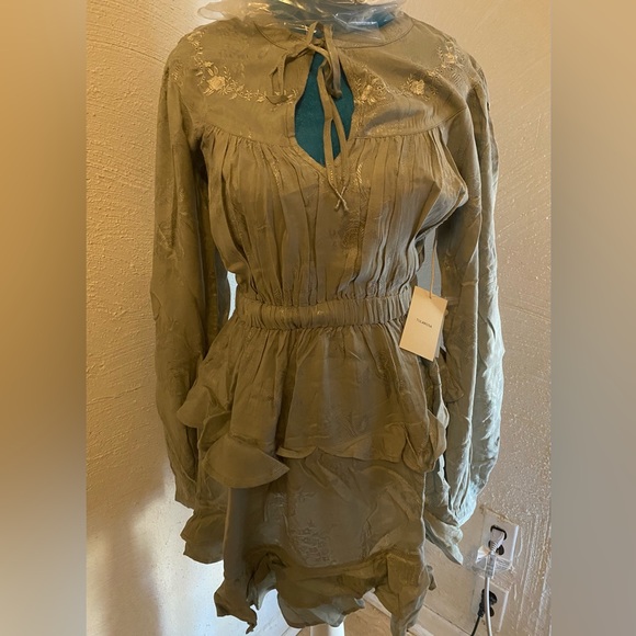 Kimora embroidered mini dresss - Picture 2 of 6